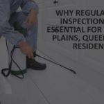 Why Regular Pest Inspections Are Essential for Coopers Plains, Queensland Residents