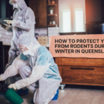 How to Protect Your Home from Rodents During the Winter in Queensland