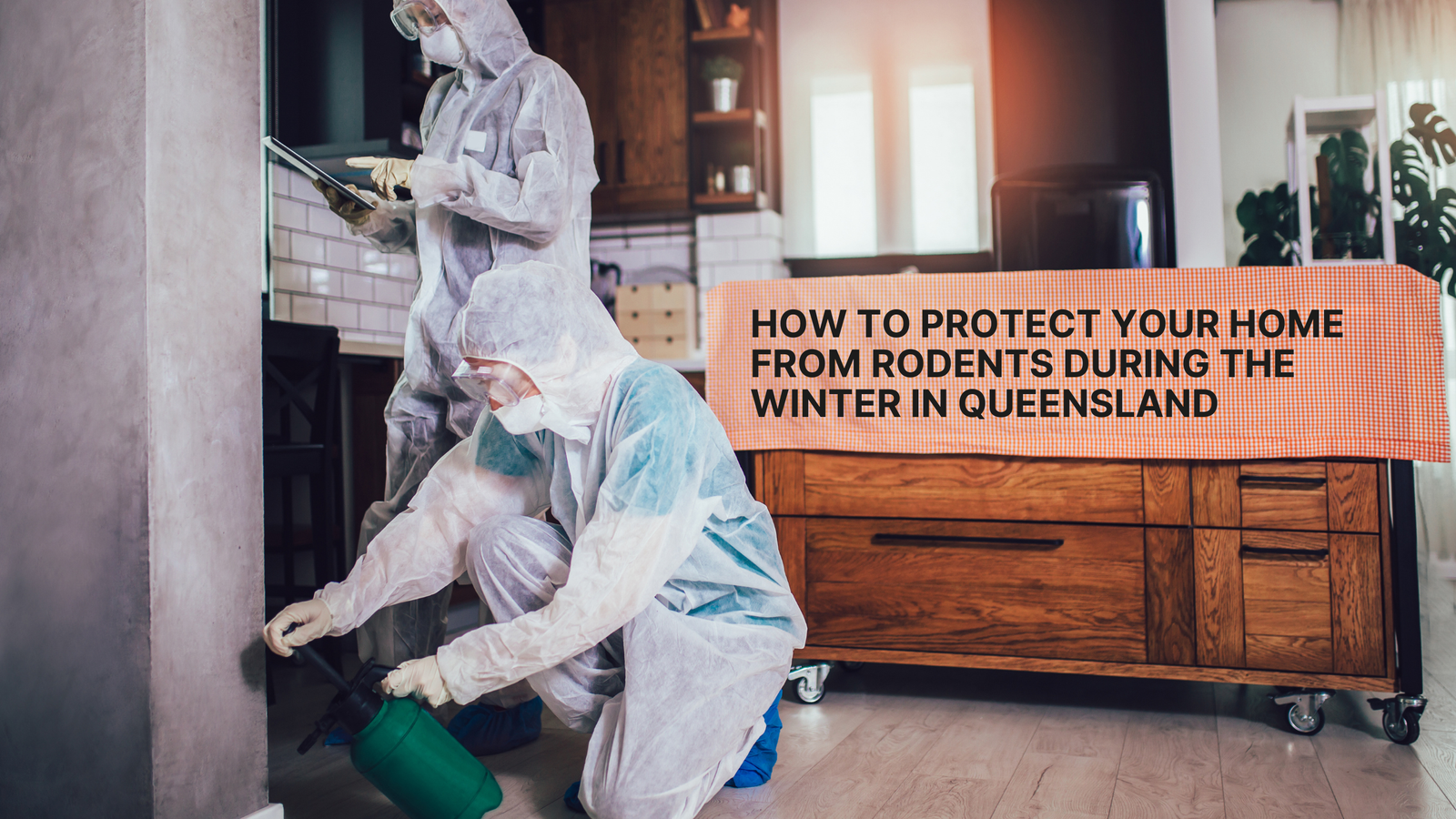 How To Protect Your Home From Rodents During The Winter In Queensland