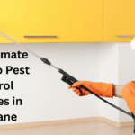 The Ultimate Guide to Pest Control Services in Brisbane