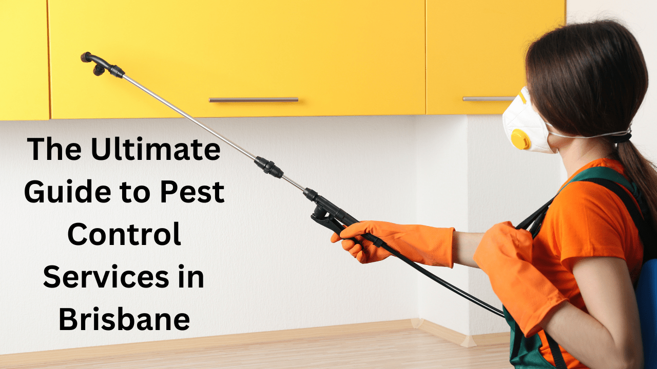 The Ultimate Guide to Pest Control Services in Brisbane