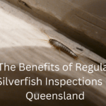 The Benefits of Regular Silverfish Inspections in Queensland