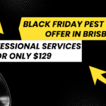 Black Friday Pest Control Offer in Brisbane: Get Professional Services for Only $129