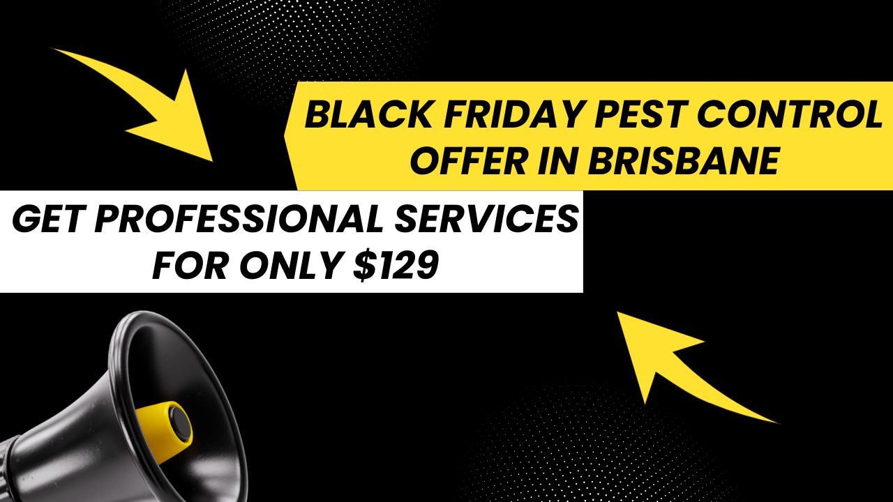 Black Friday Pest Control Offer in Brisbane