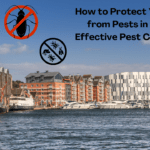 How to Protect Your Home from Pests in Ipswich: Effective Pest Control Tips