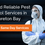 Fast and Reliable Pest Control Services in Moreton Bay – Only $129 Same Day Solutions