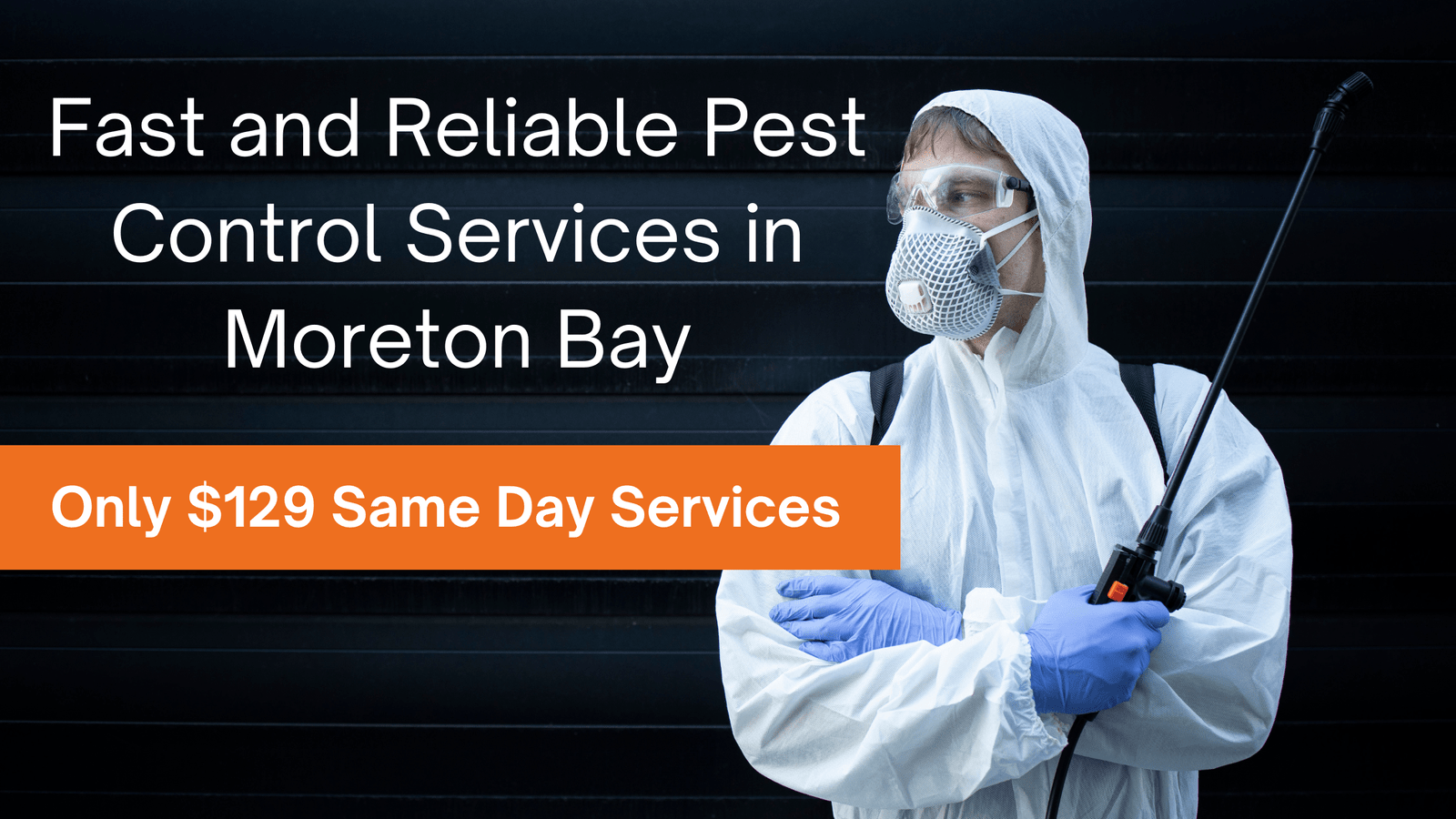 Fast and Reliable Pest Control Services in Moreton Bay