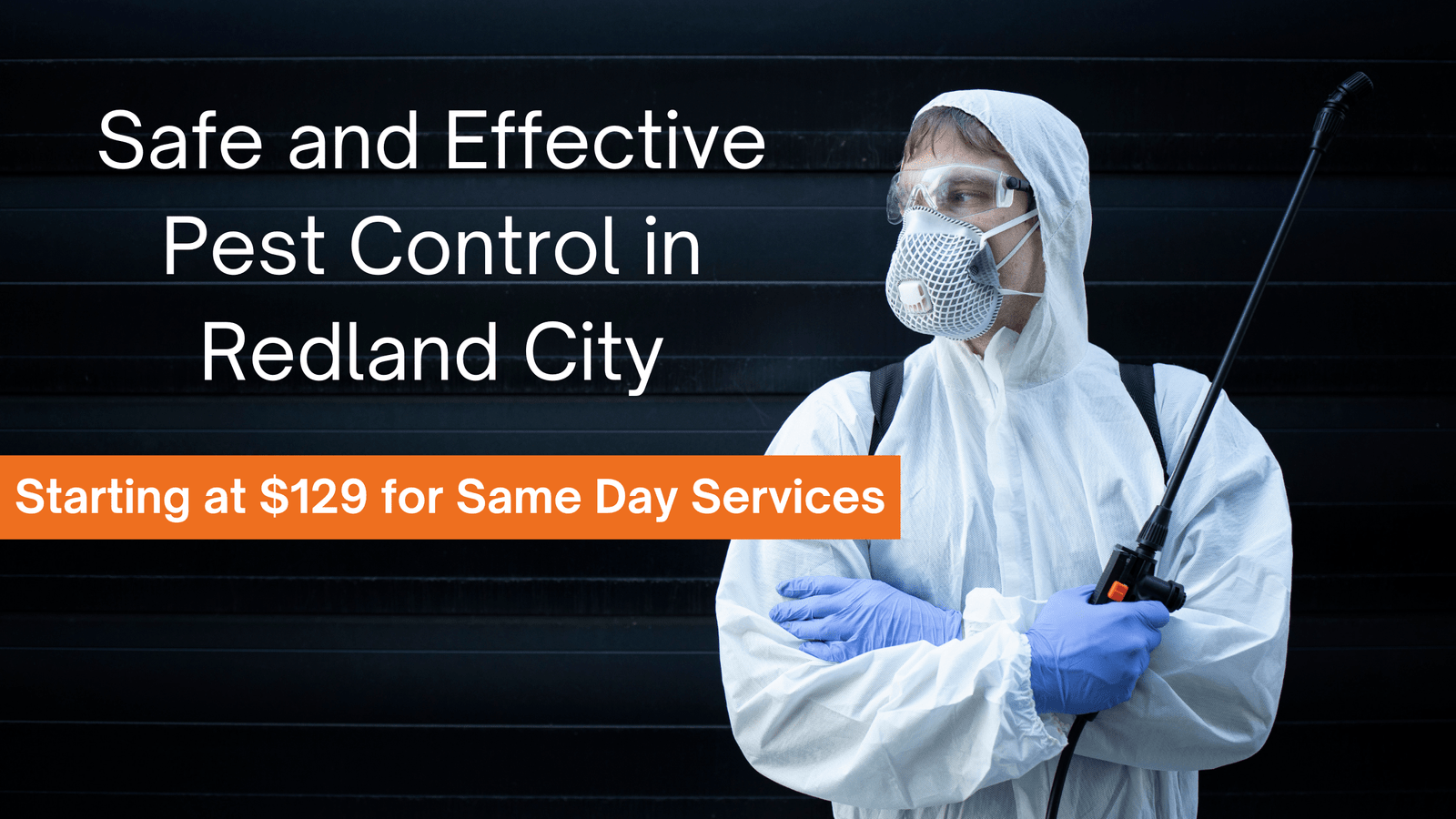 Safe and Effective Pest Control in Redland City