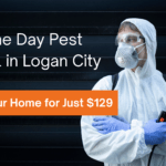 Same Day Pest Control in Logan City – Protect Your Home for Just $129