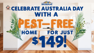 Pest Control in Brisbane